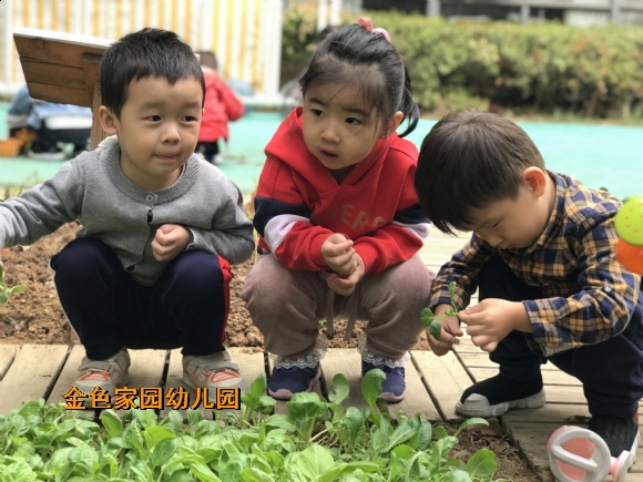 附件:IMG_2928(20191009-101820).jpg 附件:IMG_2928(20191009-101820).jpg