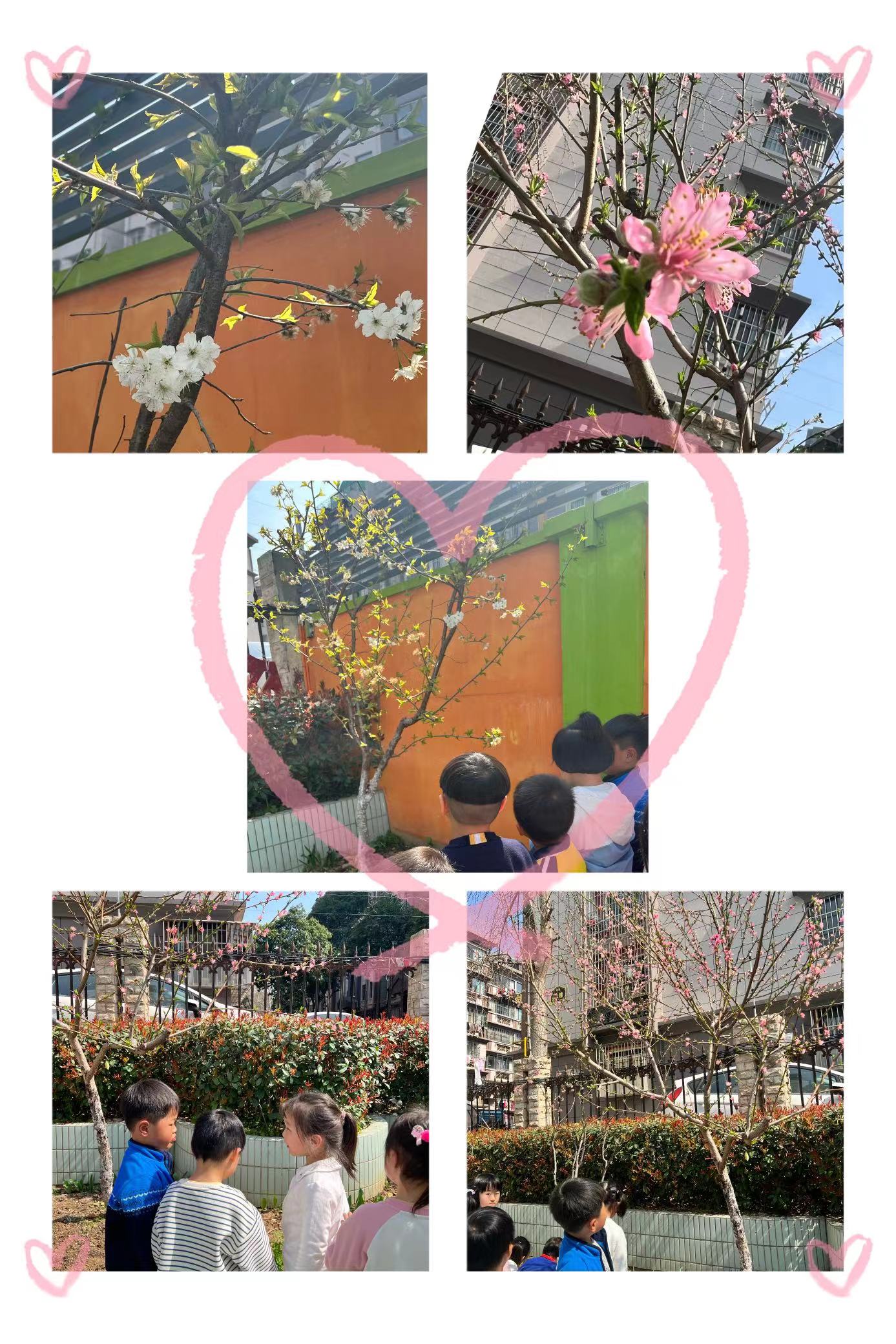 附件：WechatIMG71.jpeg