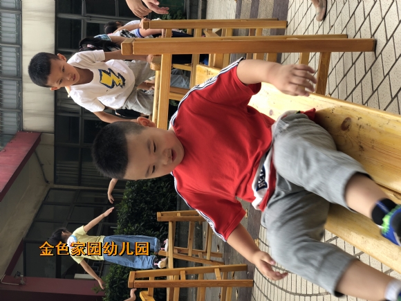 附件：IMG_8238.JPG
