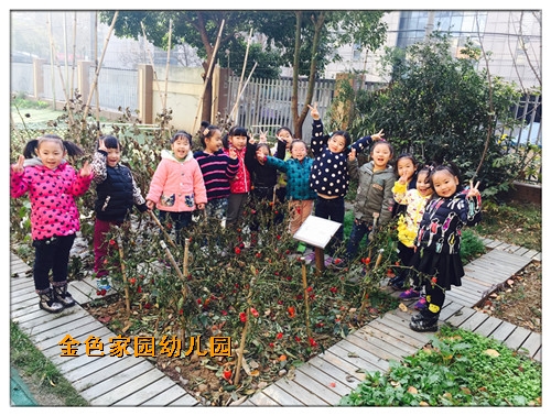 附件：1.jpg