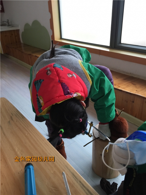 附件：IMG_0541.JPG