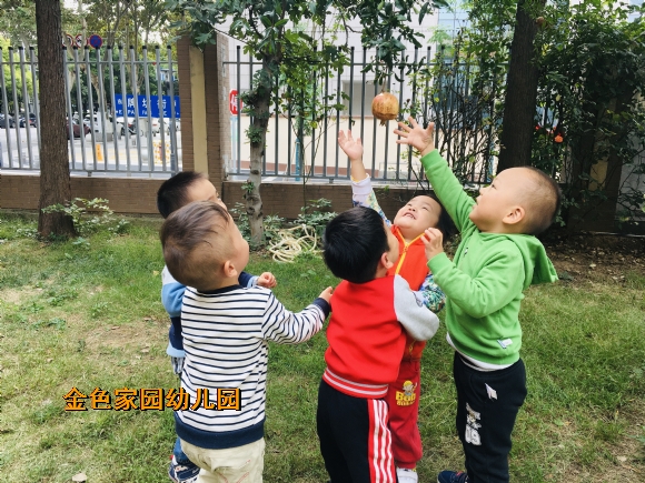 附件：IMG_E8891.JPG