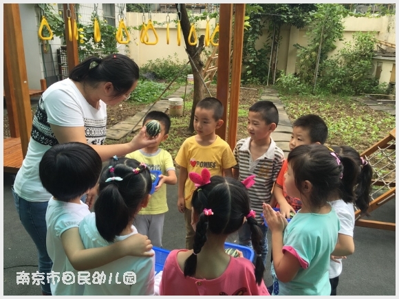 建邺教育信息网