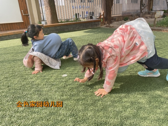 附件：6cafc4f0d17b882433ca106b7f4a866.jpg