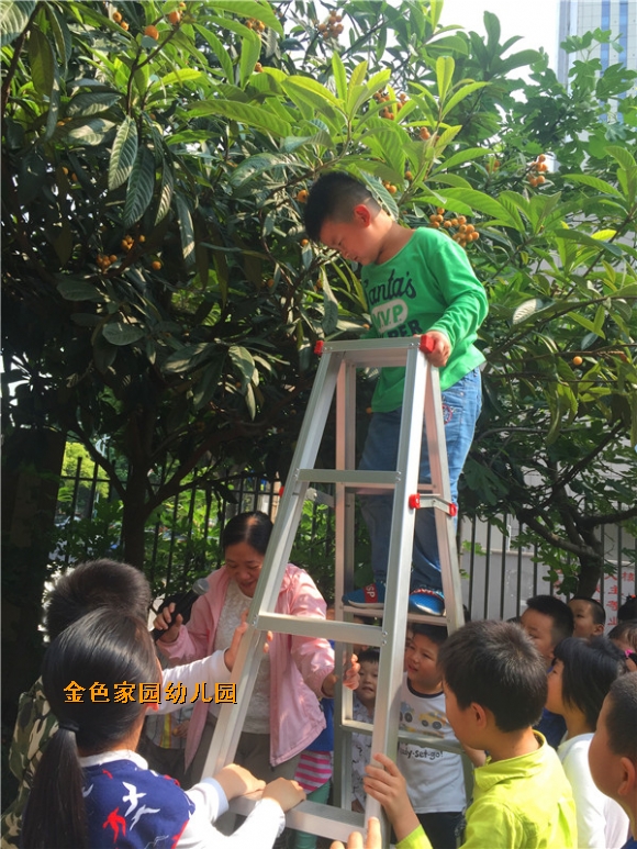 附件：IMG_2474.JPG