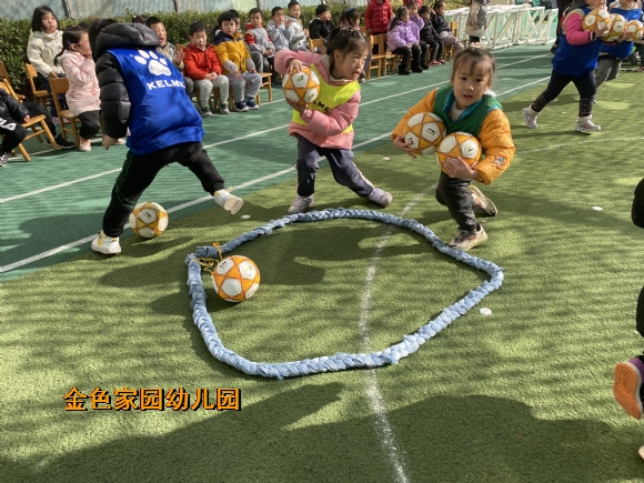 附件：IMG_5941.JPG
