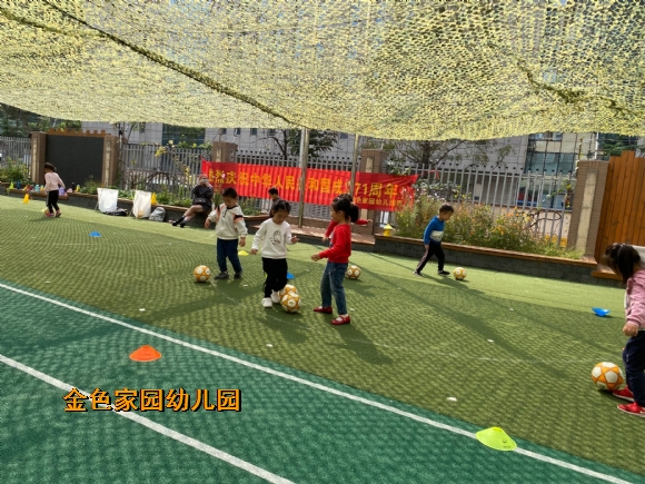 附件：IMG_4426(20201026-164130).JPG