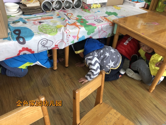 附件：IMG_4566.JPG