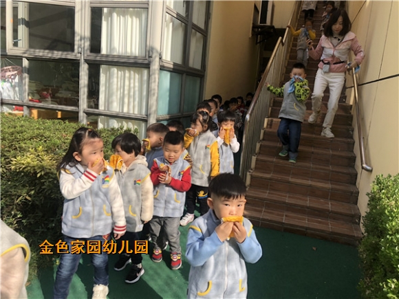 附件：IMG_4429.jpg
