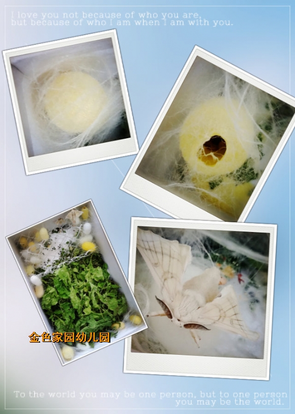 附件：pt2017_05_18_12_51_49.jpg