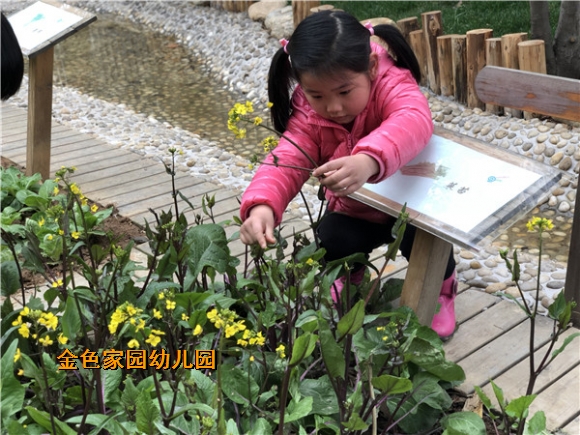 附件：IMG_1390_鍓湰.jpg