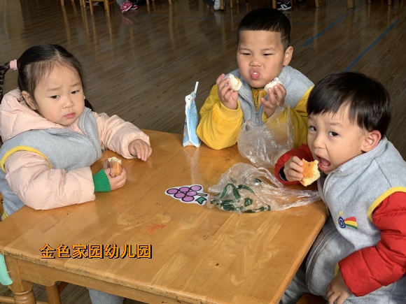 附件：IMG_E4631.JPG