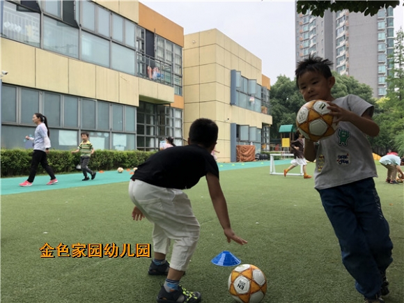 附件：IMG_3368.jpg