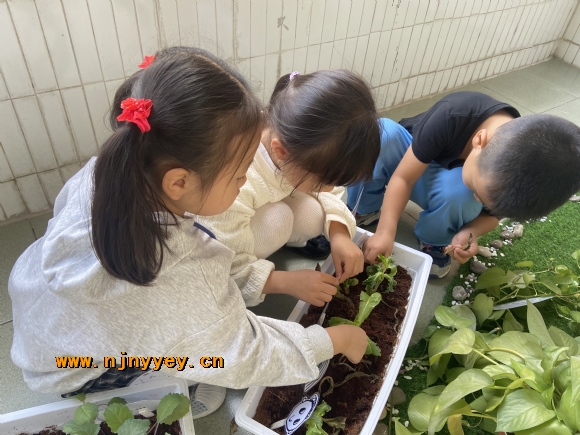附件：IMG_1227.JPG