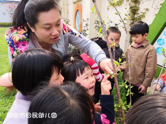 附件：IMG_20190403_100104.jpg