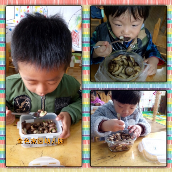 附件：img1479261876561.jpg