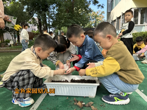 附件：IMG_0539.JPG