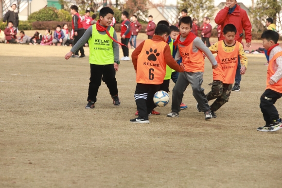 附件:IMG_6886.JPG 附件:IMG_6886.JPG
