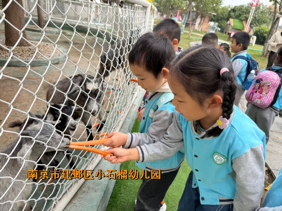 附件：835f489d08bdccd20e3467f41e34cf13.jpg