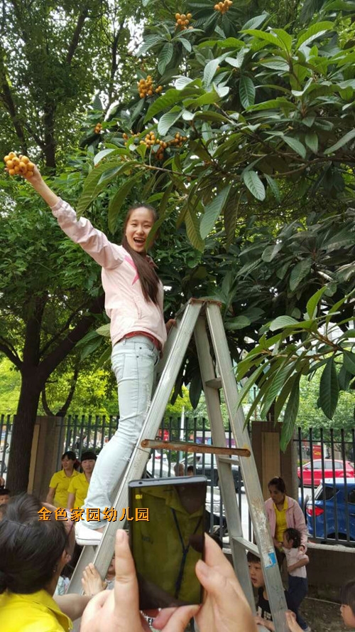 附件：IMG_2061.JPG
