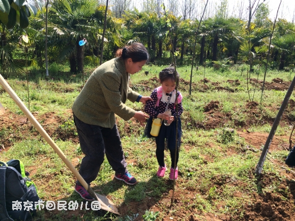 附件：IMG_9852.JPG