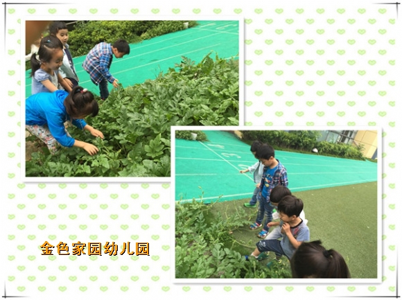 附件：1.jpg
