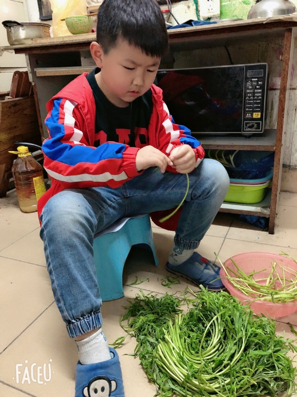 附件：67458029fc56d537.jpg