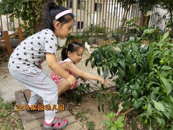 附件：mmexport1632637041919.jpg