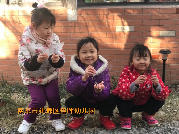 附件：0110_7.jpg