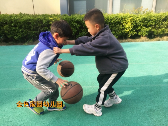 附件：IMG_6232.jpg