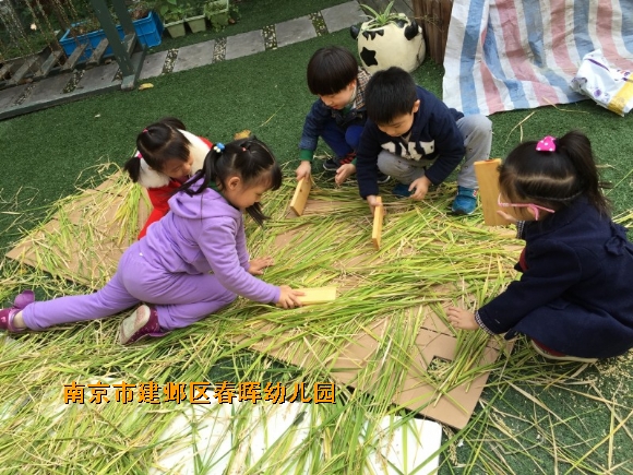 附件：conew_img_6223.jpg