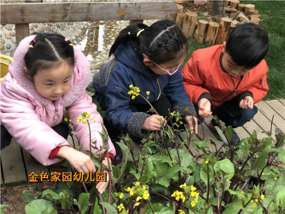 附件：IMG_1397_鍓湰.jpg