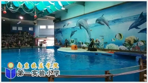 建邺教育信息网