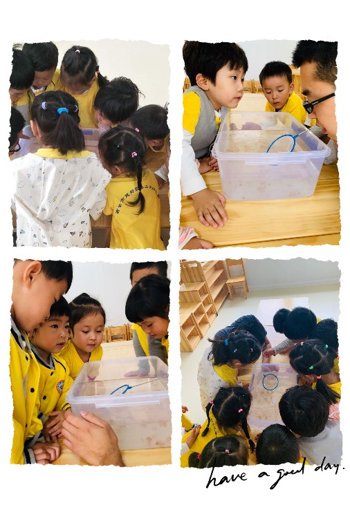 微信图片_20190530155732.jpg