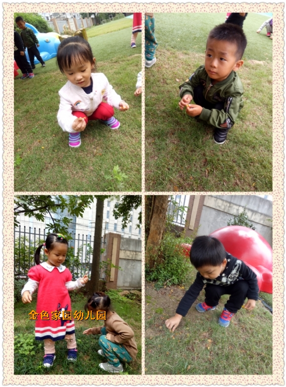 附件：1.jpg