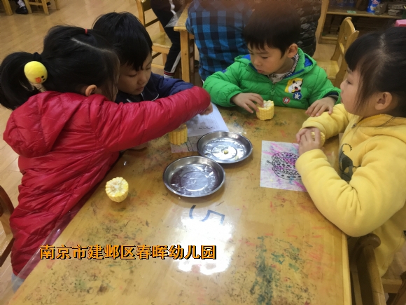 附件：IMG_0205.JPG