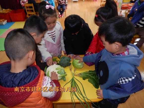 附件：DSCN4292.JPG