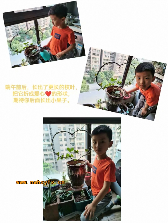 附件：8a635add433679adb53d1d16581a6153.png