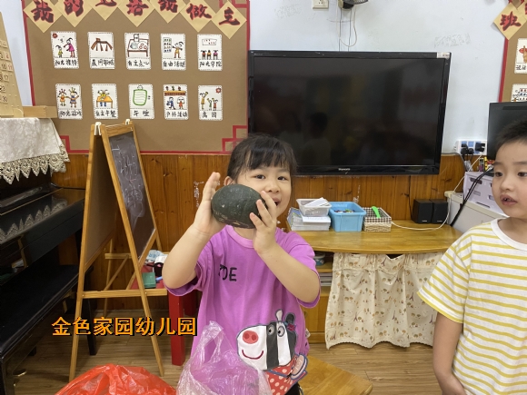 附件：IMG_3142.JPG