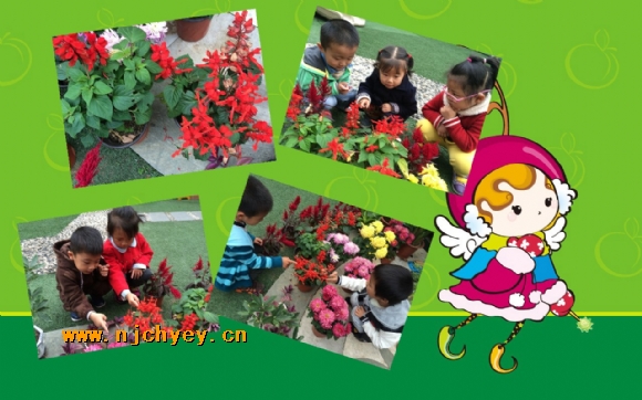 附件：conew_img_2820_conew1.jpg