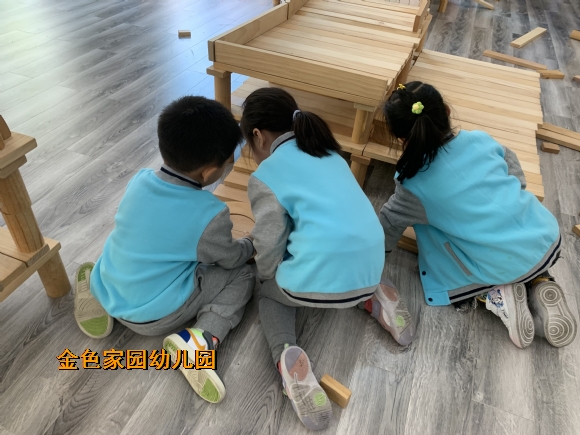附件：IMG_8781.JPG