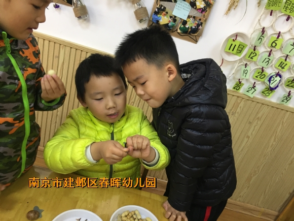 附件：IMG_9601.JPG