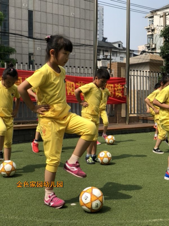 附件：IMG_1717.JPG