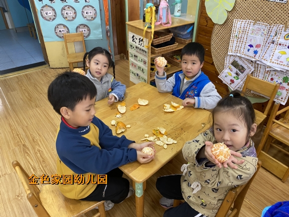 附件：IMG_4745.JPG