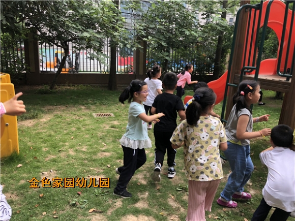 附件：IMG_3703.jpg
