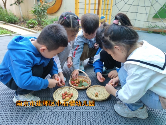 附件：QQ图片20240124104417.jpg