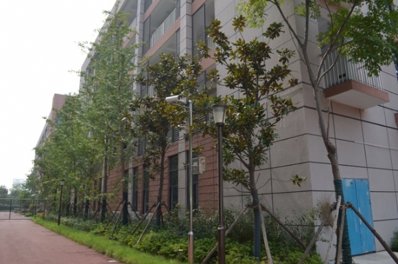 附件：DSC_0706.JPG