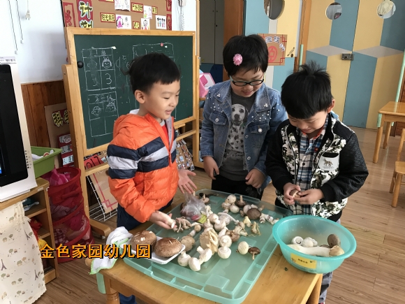 附件：IMG_7424.JPG