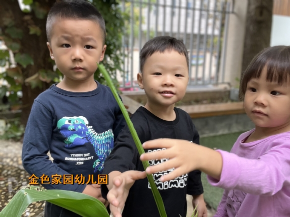 附件：1663314671875.jpg