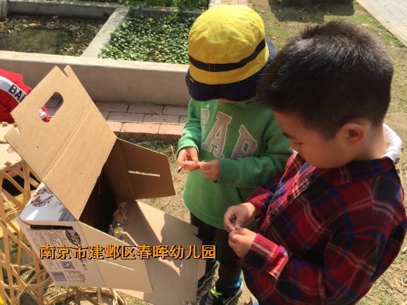 附件：conew_img_8772.jpg